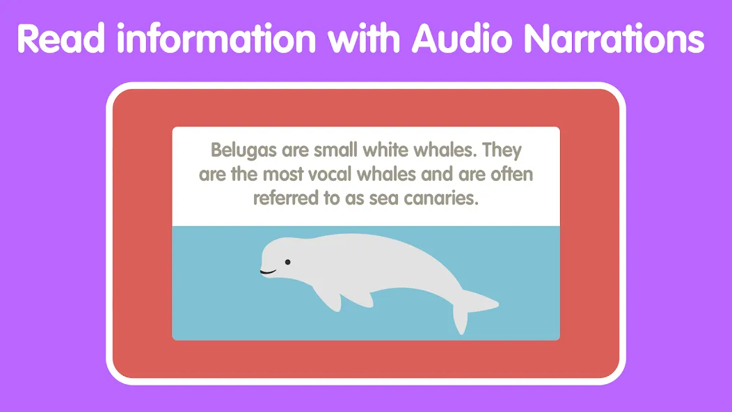 Learn Ocean Animals for kids screenshot 5