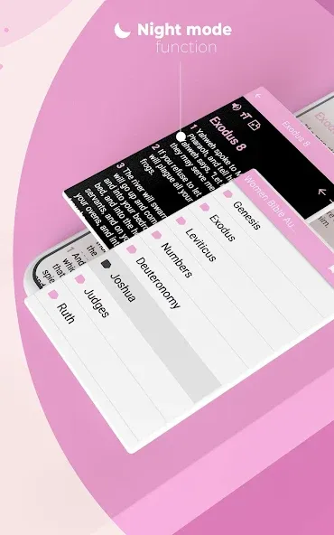 Women Bible Audio screenshot 13