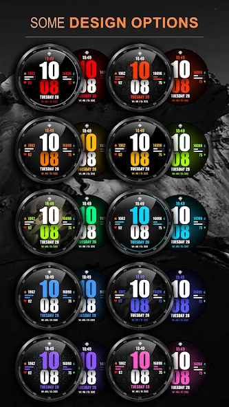 WFP 244 Sports watch face screenshot 2