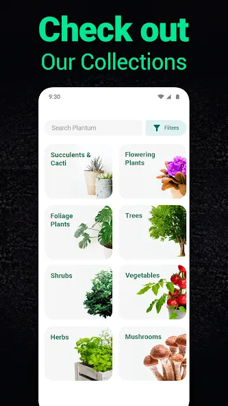 Plantum - Plant Identifier screenshot 6