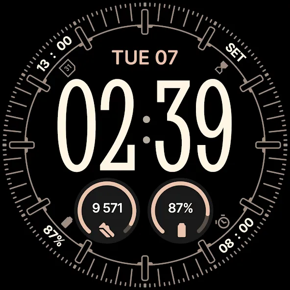 Omnis Digital Watch Face screenshot 36