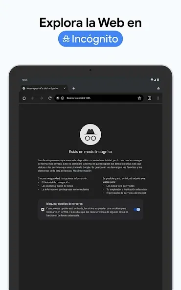 Chrome Canary (inestable) screenshot 14
