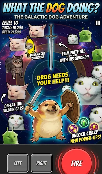 What the Dog Doing? screenshot 6