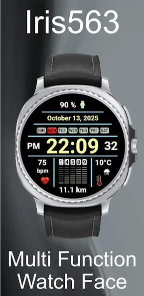 Iris563 Multi-Function Digital screenshot 4