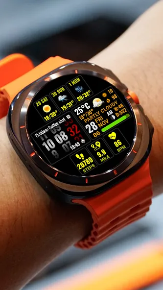 Weather hours and days NTV600 screenshot 6