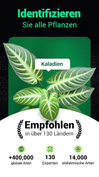 Plantum - Pflanzen bestimmen screenshot 25