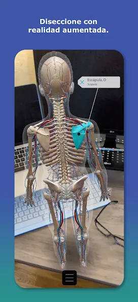 Atlas de anatomía humana 2026 screenshot 5