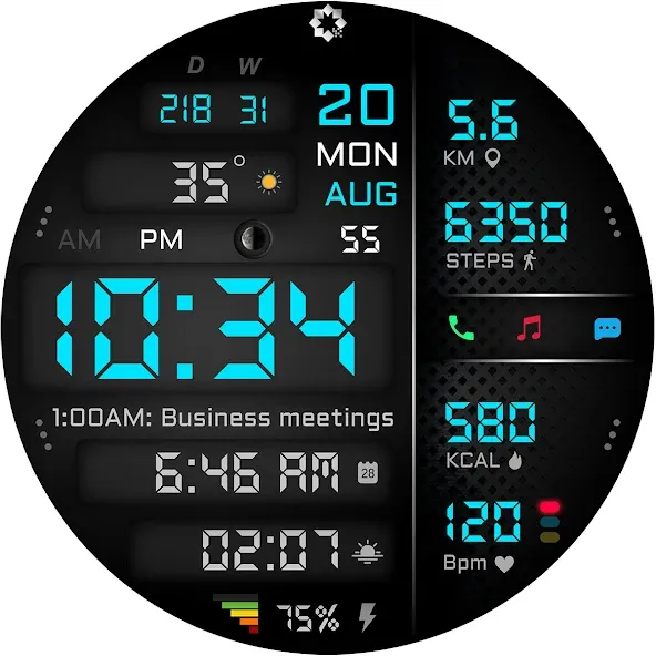 A445 Digital Health Face screenshot 27