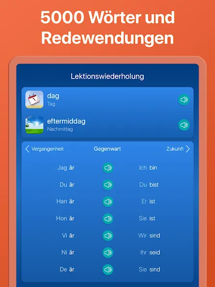Schwedisch lernen & sprechen screenshot 14