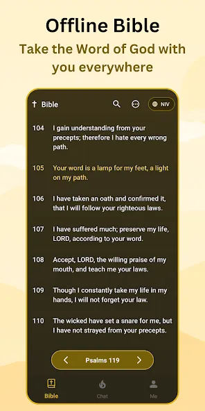 Torch - Bible App screenshot 4