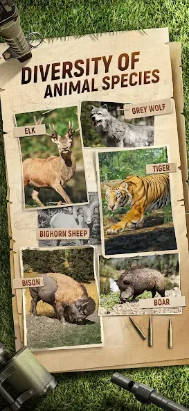 Hunting Sniper screenshot 1