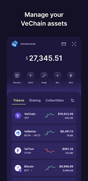 VeWorld screenshot 1