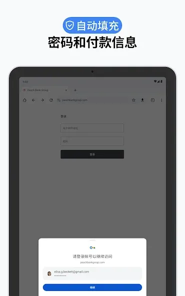 Google Chrome 浏览器 screenshot 18