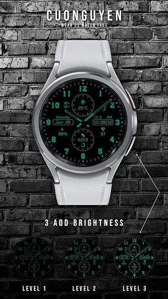 Watch face CNW-34 screenshot 2