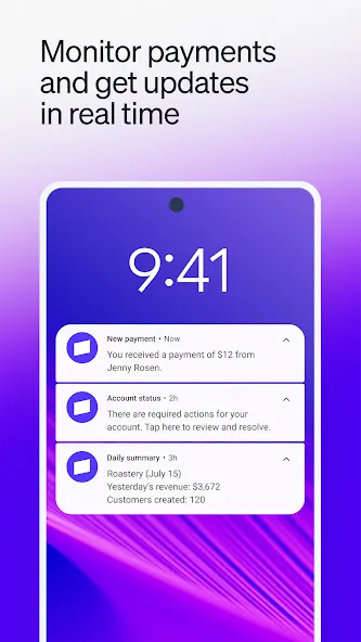 Stripe Dashboard screenshot 7