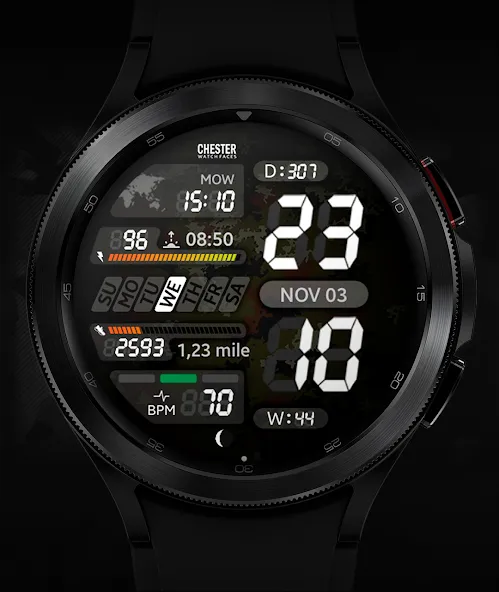 Chester LCD2 watch face screenshot 2