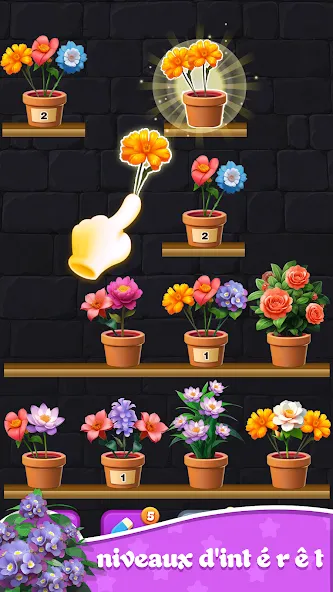 Tri Fleurs 3D : Floraison screenshot 1