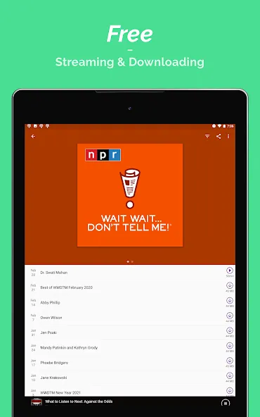 Podcast Player screenshot 11