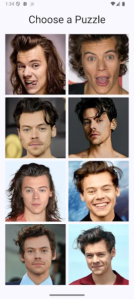 Rompecabezas de Harry Styles screenshot 1