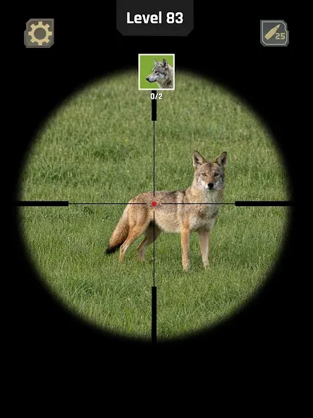 Animal Hunter: Wild Shooting screenshot 9