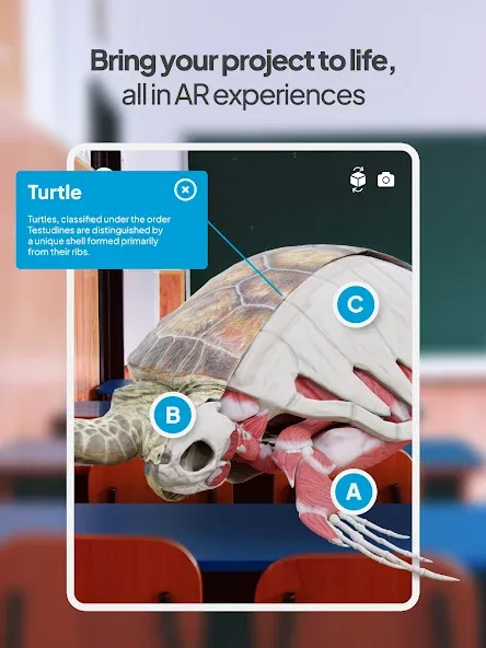 Assemblr EDU: Learn in 3D/AR screenshot 15