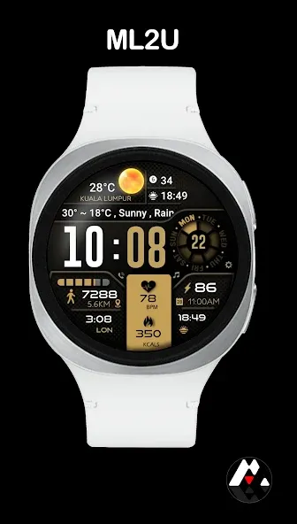 ML2U 134b Digital Hybrid screenshot 8
