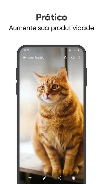 Galeria Simples Pro screenshot 5