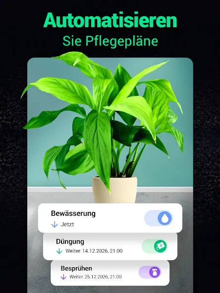 Plantum - Pflanzen bestimmen screenshot 11