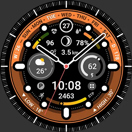 BRN205 : Watch Face screenshot 26