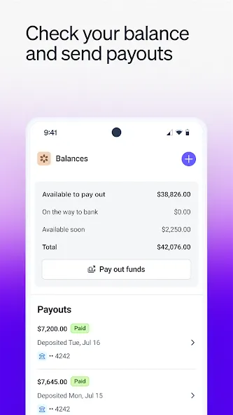 Stripe Dashboard screenshot 4