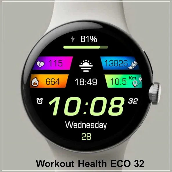 Colorful Fitness Tracker 33 screenshot 4