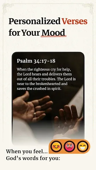 Bible Offline-KJV Holy Bible screenshot 12