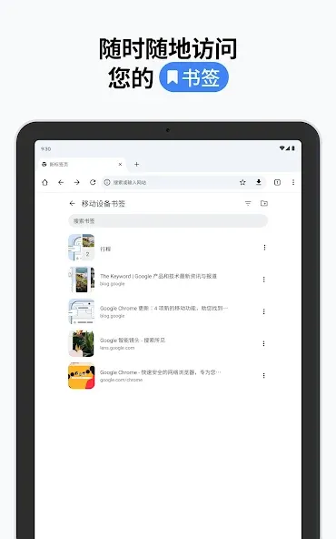Google Chrome 浏览器 screenshot 24