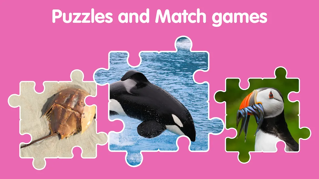 Learn Ocean Animals for kids screenshot 6