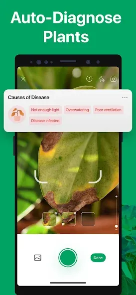 PictureThis - Plant Identifier screenshot 4