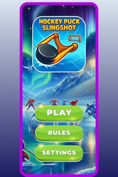 Hockey Puck Slingshot screenshot 1