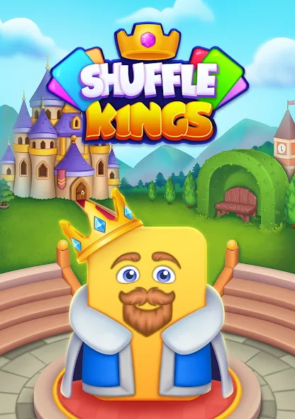 Shuffle Kings-card sort color screenshot 13
