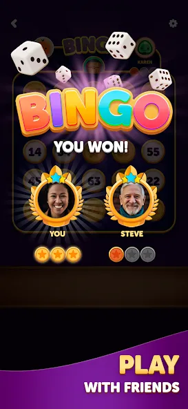 Bingo Dice screenshot 4