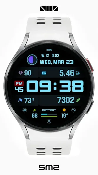 SMZ Chameleon 21En screenshot 6
