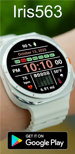 Iris563 Multi-Function Digital screenshot 5