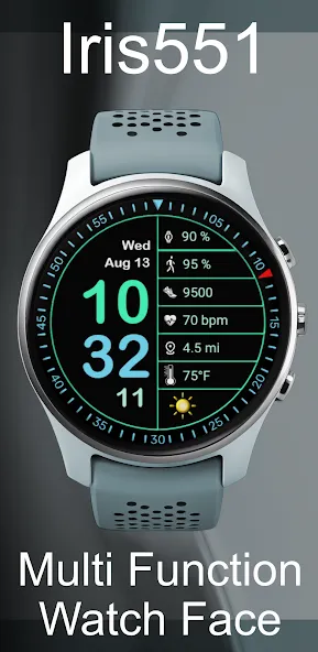 Iris551 Multi-Function Digital screenshot 17