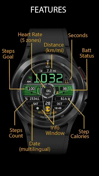 ORB-08-SRM Watch Face screenshot 2