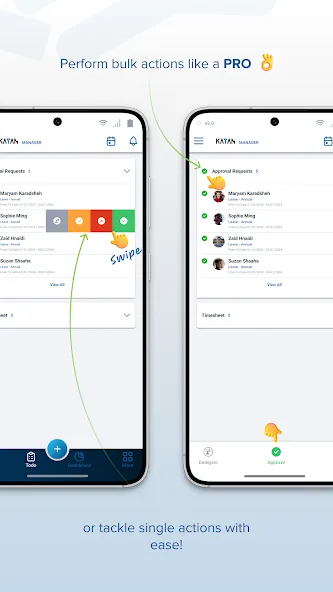 KayanHR screenshot 8