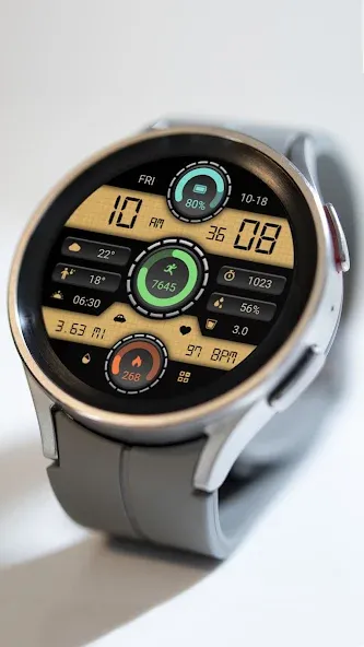 Triple Circular Classic Watch screenshot 4