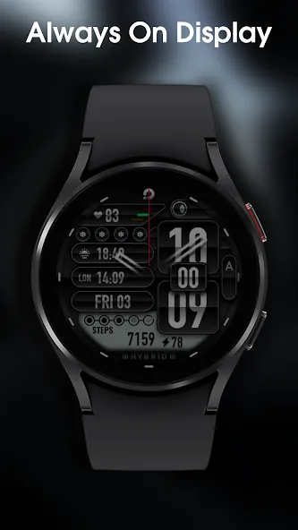 PRADO 06 Hybrid Watch Face screenshot 6