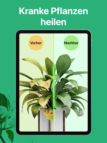 PictureThis:Pflanzen bestimmen screenshot 15