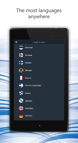 Learn 163 Languages | Bluebird screenshot 13