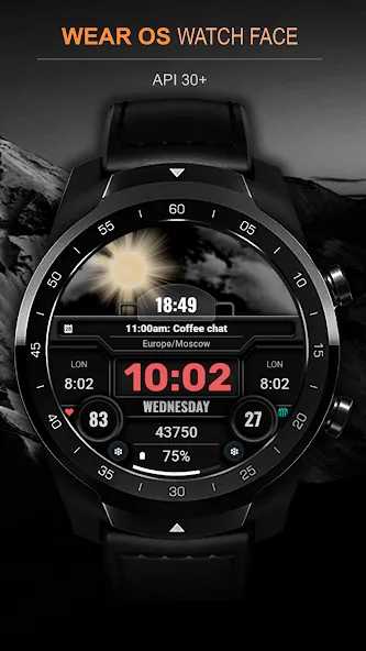 WFP 211 Weather animated watch screenshot 7