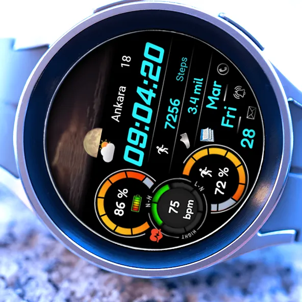 Animated FSW284 Digital screenshot 5