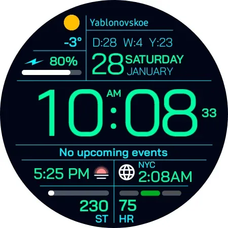 Chester Inform watch face screenshot 23